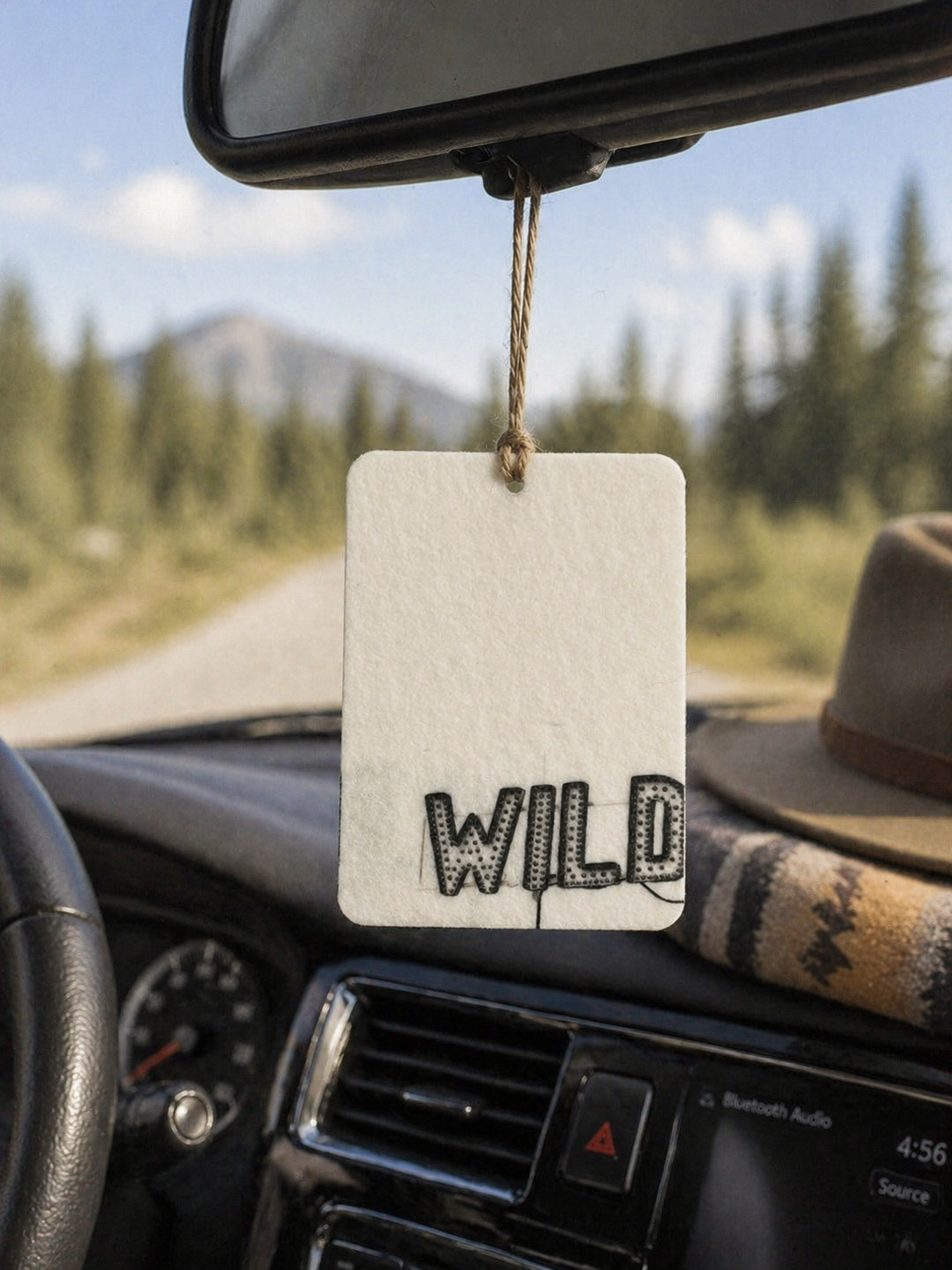 Wild Car Freshie