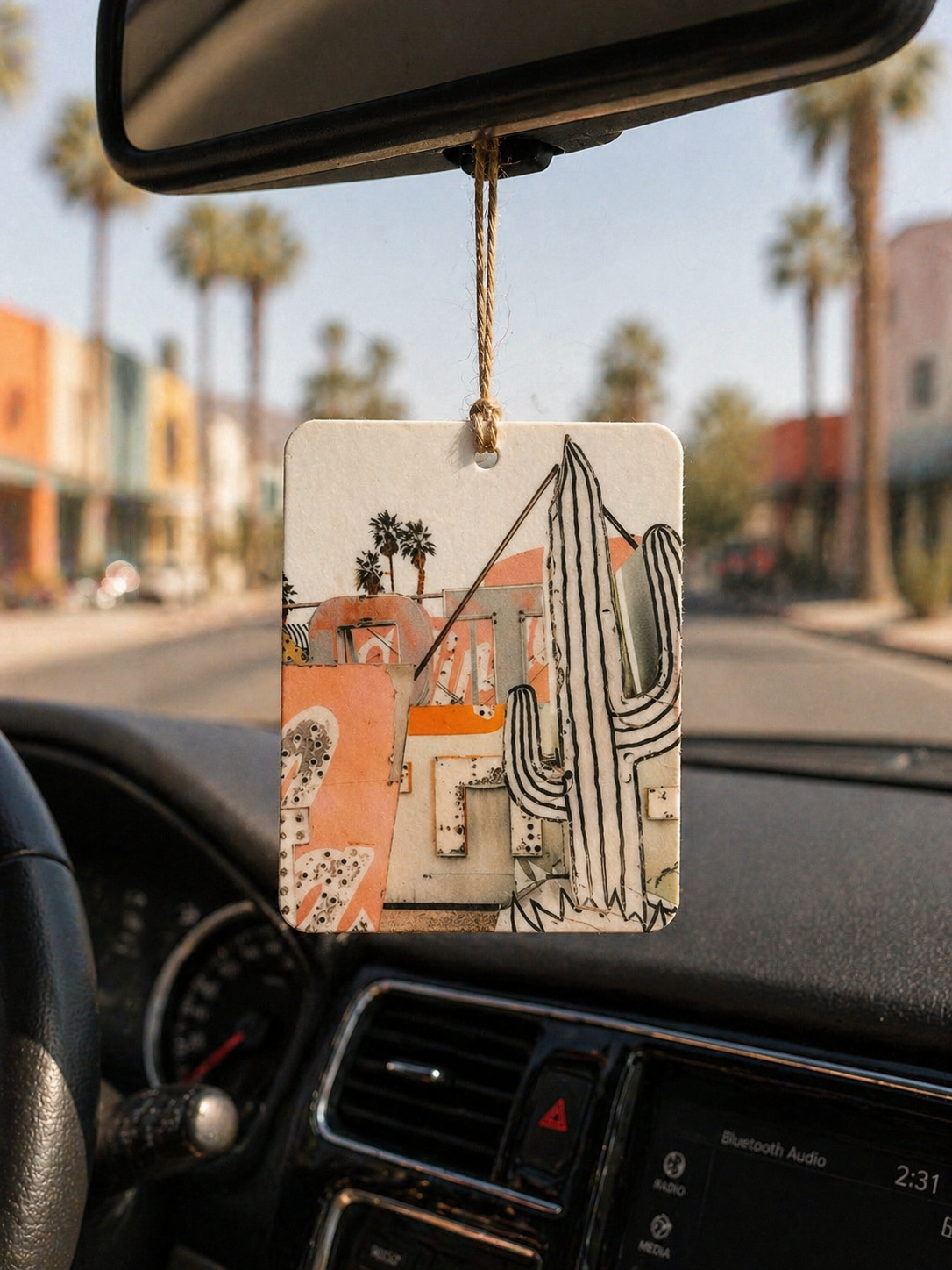 Desert Cactus Car Freshie